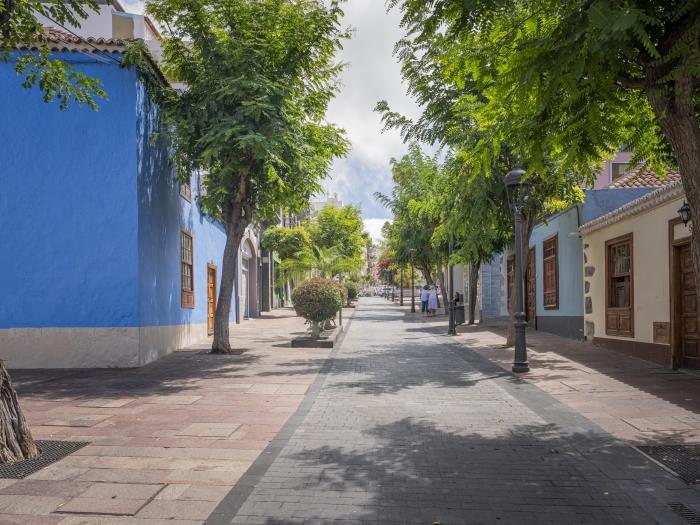 image CHL La Placeta, charming house in Los Llanos 40