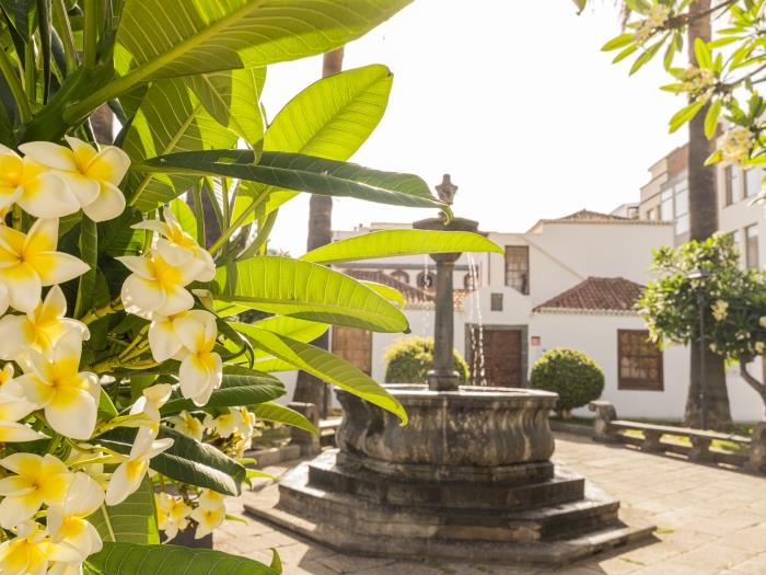 image CHL La Placeta, charming house in Los Llanos 46