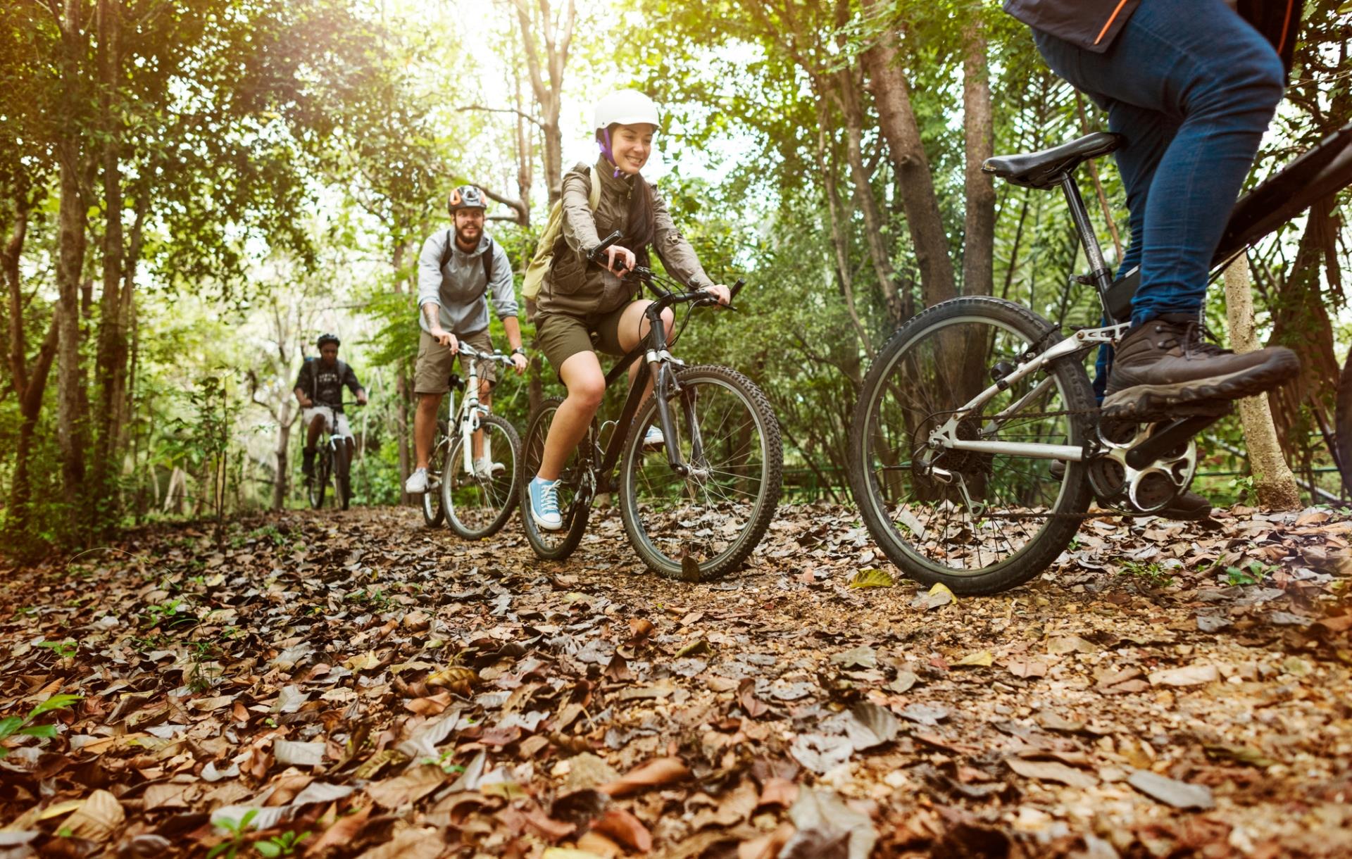 Alquiler de bicicletas